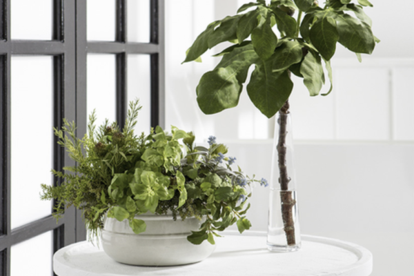 The Ivy Guild